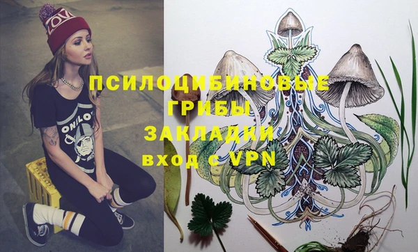стафф Белокуриха