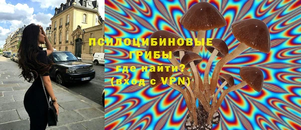 стаф Беломорск